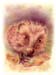 A_Igel_2007