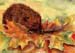 A_Igel_Herbstblaetter_2006