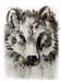 B_Monotypie_A_Wolf_2007