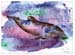 B_Monotypie_Delphin_2007