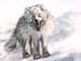 E_Polarfuchs_2010