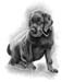 Hund_A_Kohle_2012