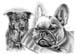 Hund_A_Kohle_2014