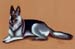 Hund_C_Kreide_2006