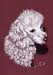 Hund_Pudel_Kreide_2006