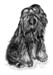 Hund_Terrier_Kohle_2005