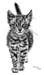 Katze_Kohle_2004