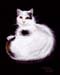 Katze_Kreide_2004