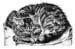 Katze_Minka_Bleistift_1988