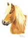 Pferd_Haflinger_Kreide_2005