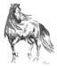 Pferd_Kohle_2005