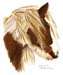 Pferd_Tinka_Kreide_2005