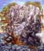C_Acryl_Fels_2008