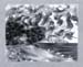 1A_KohleKreide_Landschaft_2005