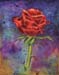 A_2Acryl_Rose_2007