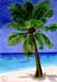 A_3Palme_Kreide_2004