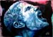 A_Tusche_x_Acryl_Der_Aufschrei_2007