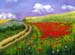 C_Acryl_Blumen_Wiese_Weg_2006