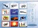 F_Kalender_A4_2006
